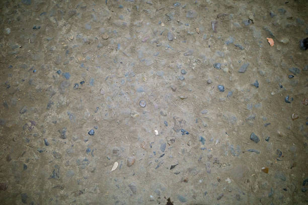 concrete wall background with a texture of small stones. copy space.