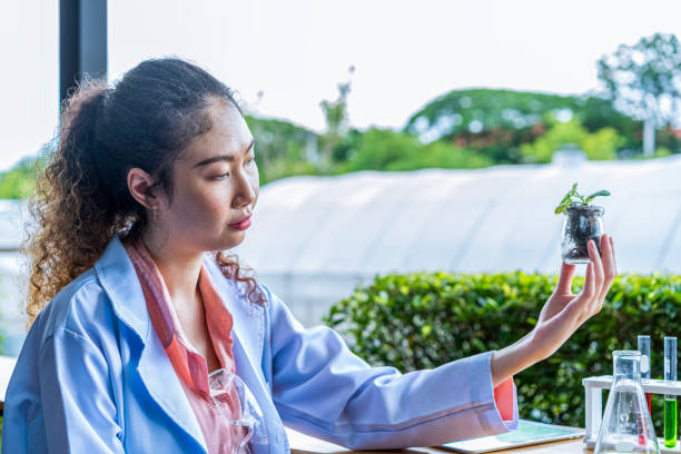 istock Female scientist experimenting with organic plant cultivation. 2182633329