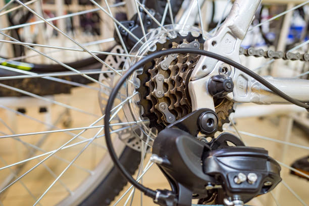 rear bushing of a bicycle with speeds. close-up