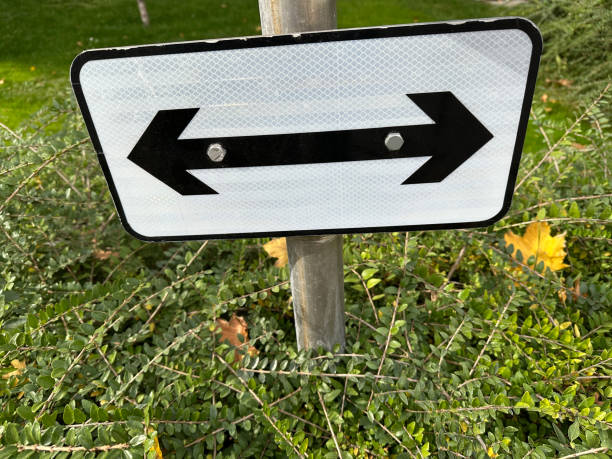 istock Arrow sign over a green bush 2182633733