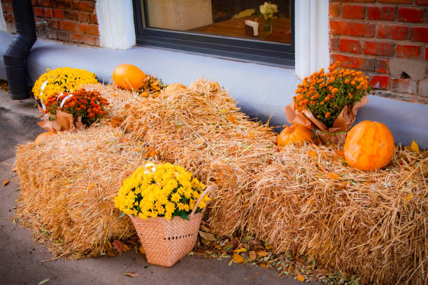 istock Flowers, hay, pumpkin 2182638795
