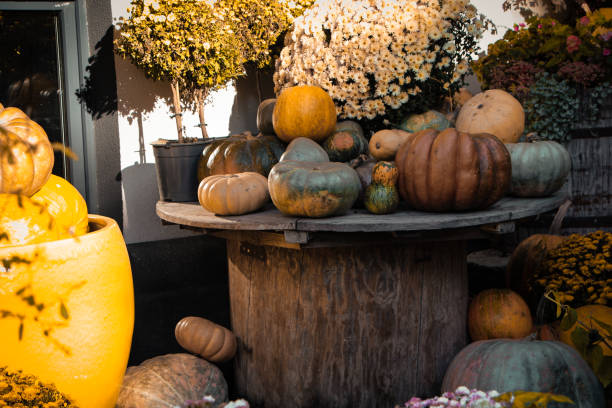 istock Flowers, hay, decorations, pumpkins 2182638936