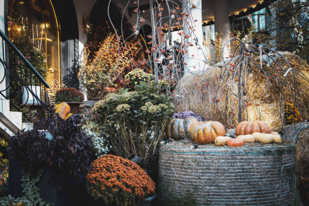 istock Pumpkins, hay, flowers and decorations 2182638975