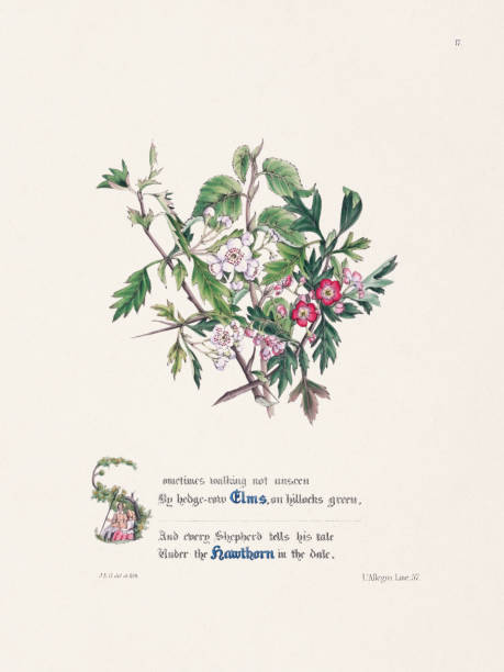 istock Floral bouquet illustration. Plate featuring intricate flower arrangements with decorative text from John Miltons works. Published in the 19th century. 2182639896