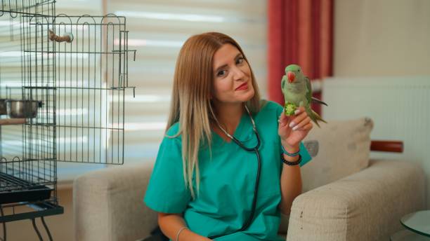 istock Veterinarian Holding Parrot During In-Home Checkup 2182643091
