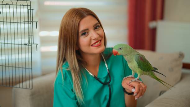istock Veterinarian Holding Parrot During In-Home Checkup 2182643115