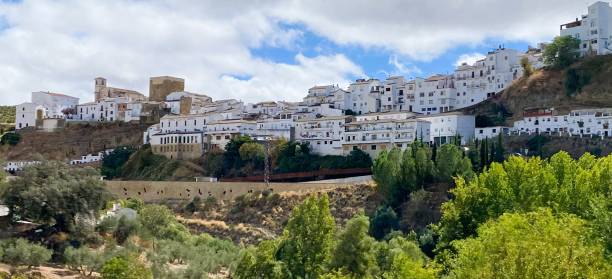 Setenil de las Bodegas is a unique and picturesque village located in the province of Cádiz, in Andalusia, Spain. Known for its fascinating architecture, much of the town is built into and underneath large rock overhang.