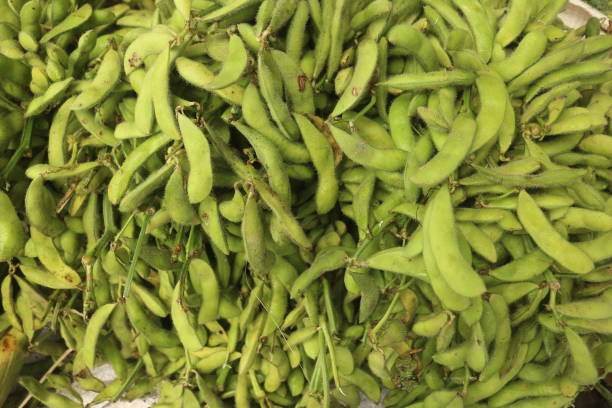 istock Fresh Green Edamame Pods 2182654272