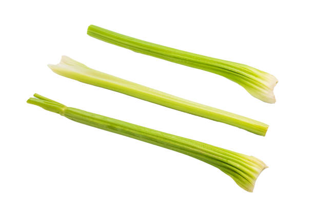 Fresh uncooked celery sticks isolated on white background, top view.
