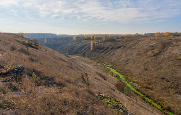 istock A log with sparse trees painted in yellow autumn foliage and a small stream flowing in the lowlands 2182663485