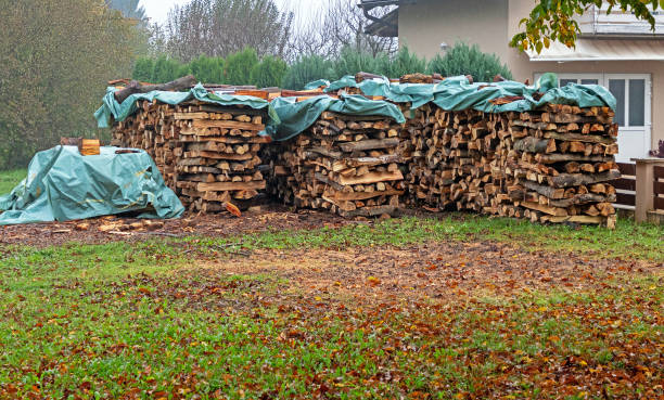 istock Cut wood pile in garden 2182665762