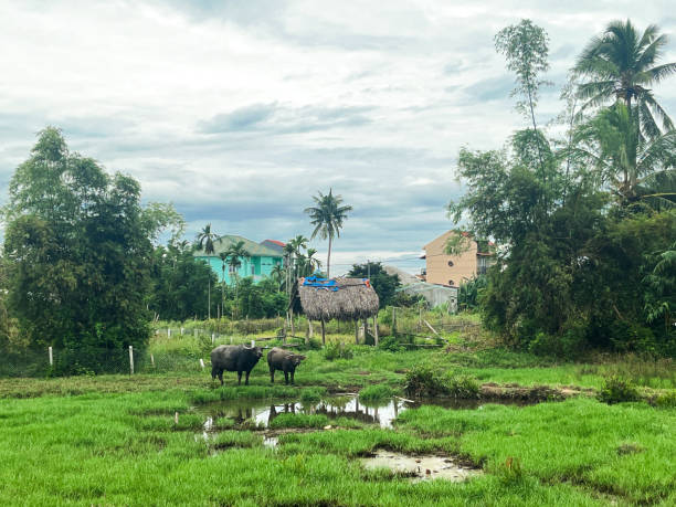 A beautiful view of Hoi An city in Vietnam