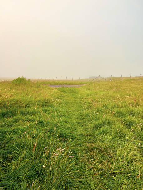 Mist and fog over a grassy green field on top of a mountain. Rustic fence at the horizon. A path has been worn through the field. Located on the Remote Scandinavian Island of Nólsoy in the Faroe Islands