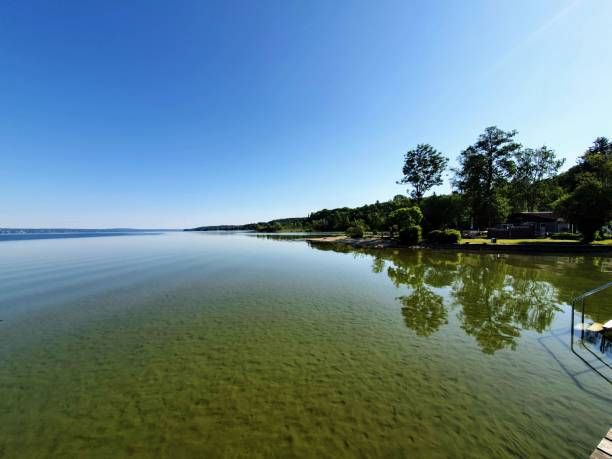 istock Shoreline with trees reflecting in lake 2182671342