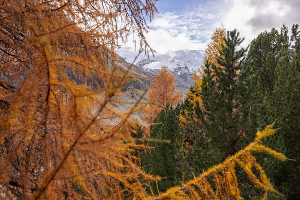 Picturesque autumn views in the Trans-Ili Alatau mountains in the vicinity of the Kazakh city of Almaty after the first light snow