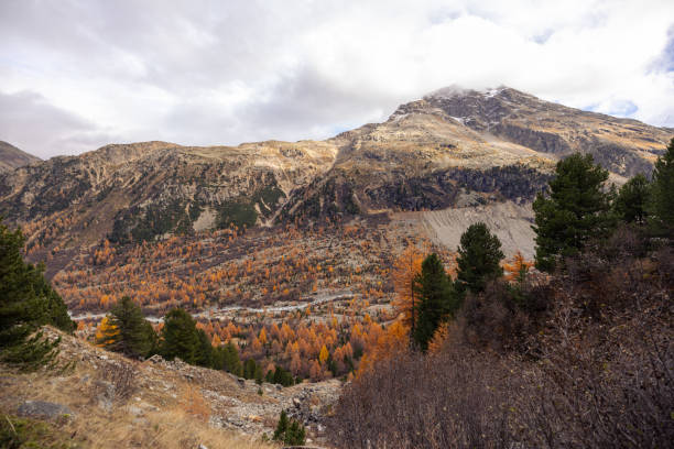 Beautiful mountain scenery with slopes covered in autumn foliage under a cloudy sky. A serene natural landscape perfect for nature lovers and adventurers.