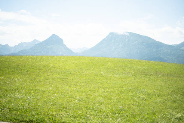 Mountains and tree background. Mountains landscape. Alpine meadows and beautiful mountains. Forest background. Green mountain landscape background. Touristic View of mountain. Nature background