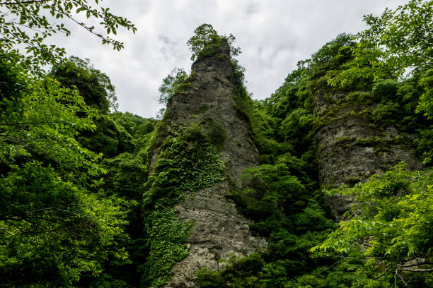 istock rocks of the Kunisaki Peninsula 2182683690