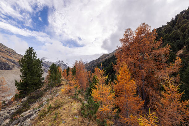 A stunning view of a mountain valley covered in autumn foliage, featuring rocky terrain and golden trees under a cloudy sky, showcasing the beauty of the fall season.
