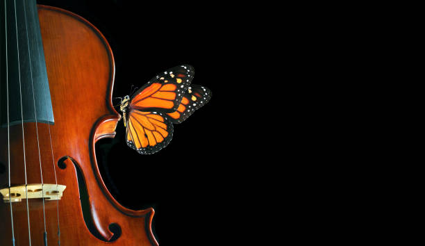 istock beautiful tropical monarch butterfly on violin. music concept. copy space. 2182687074