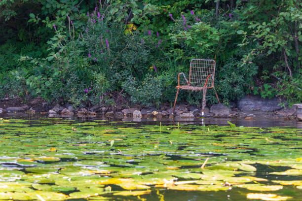 istock Rustic Chair by a Forest Pond Surrounded by Lush Greenery 2182687491