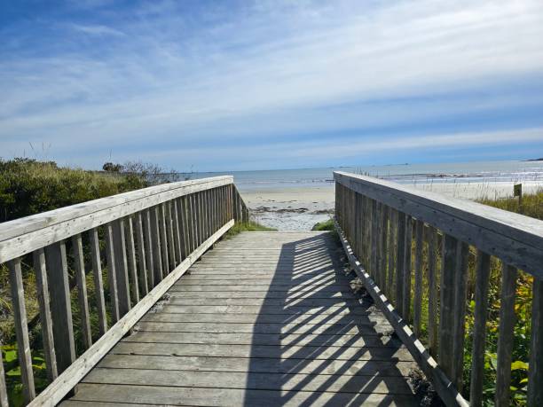 istock Wooden walkway to beach 2182687501