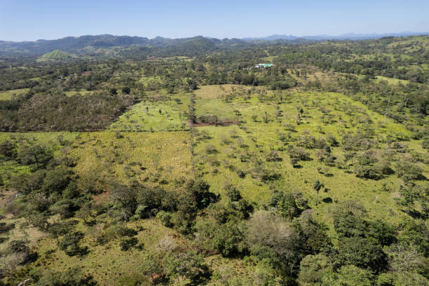 istock Green tropical aerial landscape 2182687574