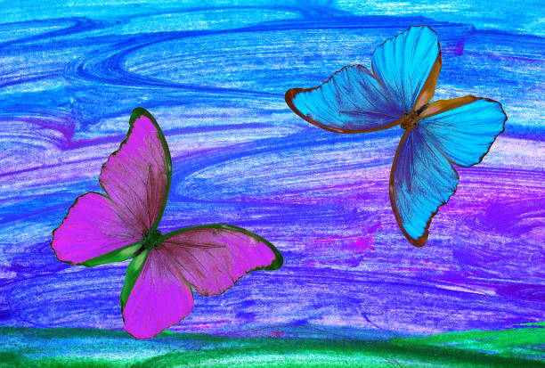 Butterfly on flower. Meadow.