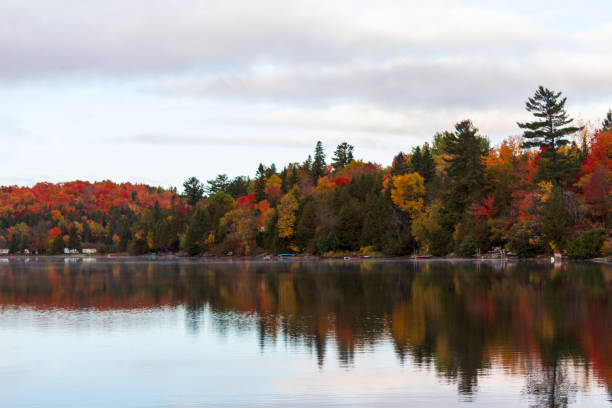 istock Serene Autumn Lake Reflecting Colorful Fall Foliage in Calm Waters 2182688016