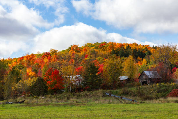 istock Charming Rustic Farmhouse Surrounded by Vibrant Autumn Foliage 2182688098