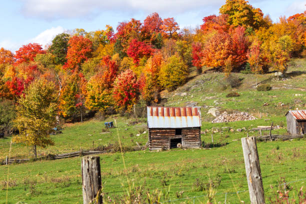 istock Rustic Farm Scene with Vibrant Autumn Foliage 2182688102