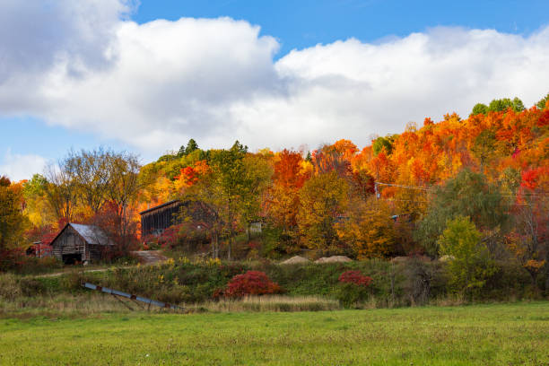 istock Scenic Autumn Landscape with Rustic Barn and Colorful Trees 2182688157