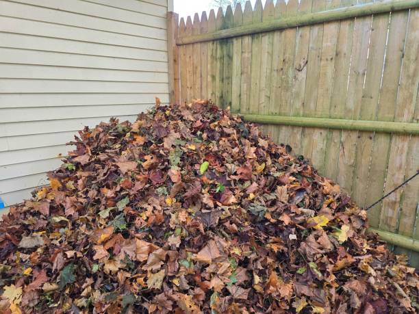 istock Large pile of leaves in yard 2182688409