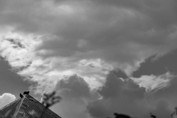 This black and white photograph captures a serene moment in time. Two birds perch atop a rooftop, silhouetted against a dramatic sky filled with swirling clouds. The image evokes a sense of peace and tranquility, as the birds seem to contemplate the vastness of the sky. The monochrome palette adds to the image's timeless quality, emphasizing the interplay of light and shadow. This photograph is a perfect example of how simplicity can be beautiful, and how black and white photography can reveal the hidden beauty of nature.