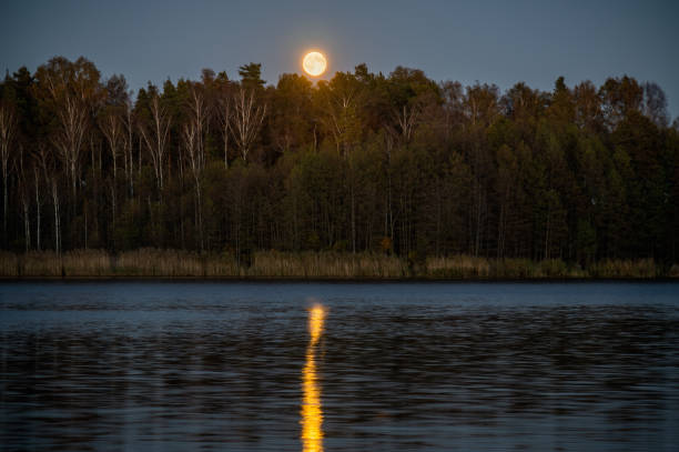 istock Moon rise over forest lake at Autumn 2182690796