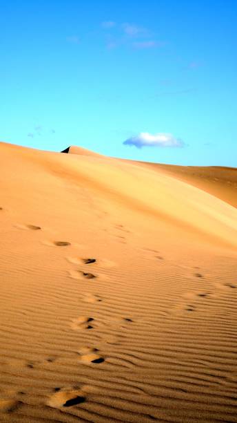 istock Footprints and texture on the golden sand dunes 2182692770
