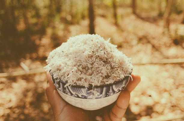 coconut in bowl