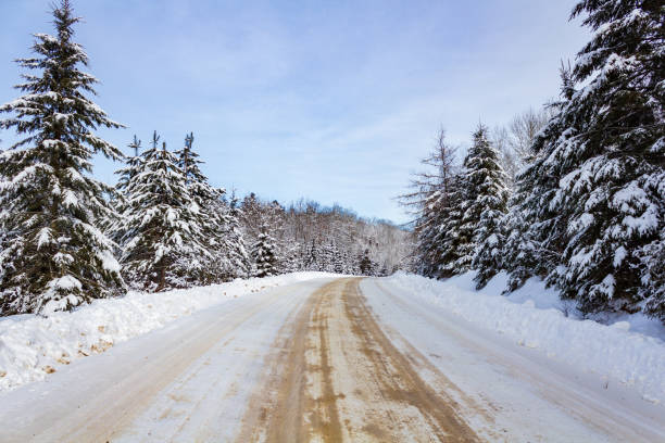 Snowy road in winter passes through a foggy forest