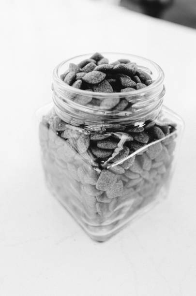 istock dog food 2182699300