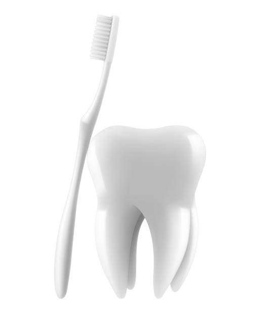 istock Tooth and Toothbrush Closeup Isolated on White Background. Medical Dentist Illustration. Design Template, Clipart, Mockup. Dental Health Concept. Realistic 3d Vector. 2182699594