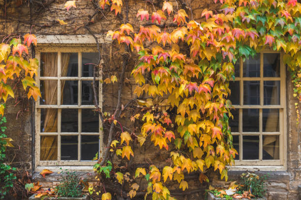 istock Window on the brick wall with fall color leaves 2182699720