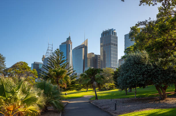 istock The Domain Sydney Views over the City 2182702677