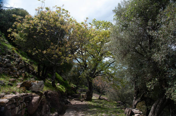istock Aigai Ancient City and Nature 2182703052