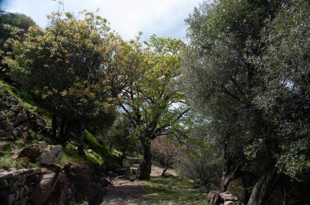 istock Aigai Ancient City and Nature 2182703053