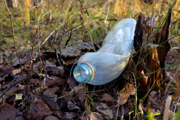 istock Plastic bottle thrown away in forest. Garbage in nature, reusable products 2182706010