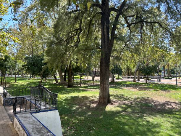 istock Gardens and Park in Cordoba 2182706151