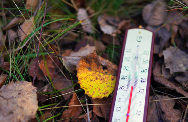 istock Thermometer for measuring outdoor air temperature 2182706313