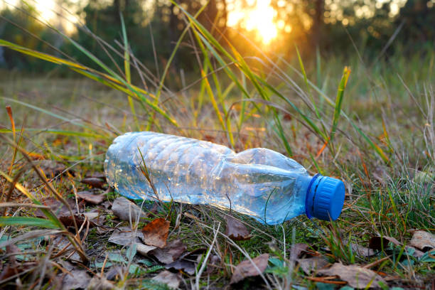 istock Plastic bottle thrown away in forest. Garbage in nature, reusable products 2182706770