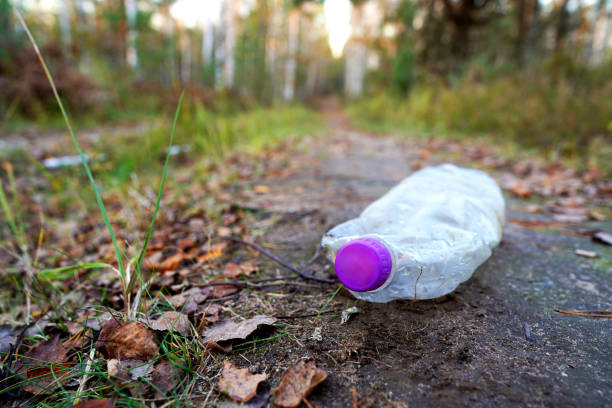 istock Plastic bottle thrown away in forest. Garbage in nature, reusable products 2182707243