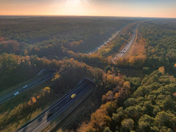 istock Wildlife crossing over a highway in nature 2182707350